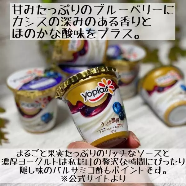 ヨープレイトフルーツオン