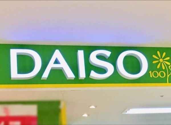 「110円のクオリティ超えてる！？」ダイソーの“ドキュメントファイル”が便利らしい！