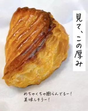 焼いたカルディのアップルパイ