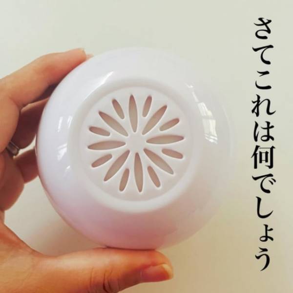 「これ何に使うか分かる？」330円で買えちゃうダイソー美容商品が優秀って噂！
