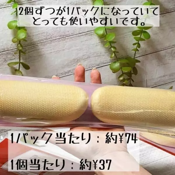 メニセズのパニーニ