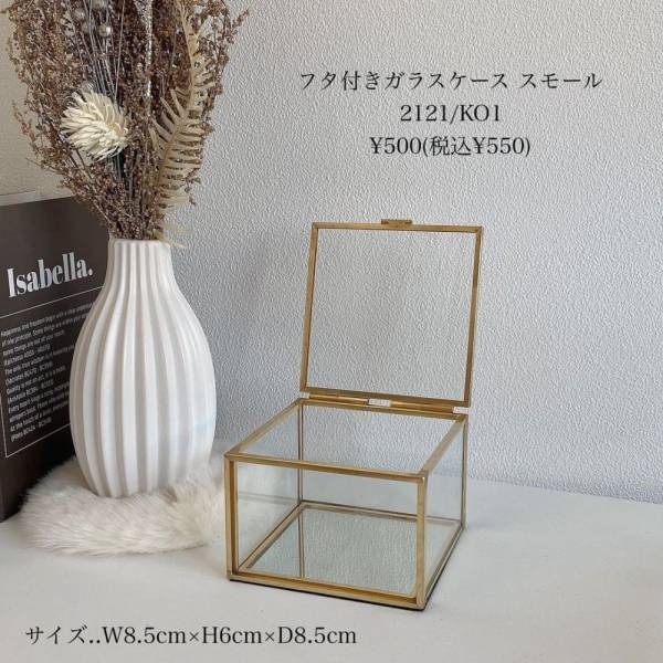 「大活躍しそう♪」スリコの“高見えケース”でおしゃれに収納！