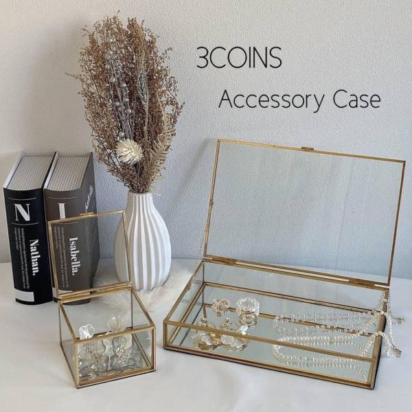 「大活躍しそう♪」スリコの“高見えケース”でおしゃれに収納！