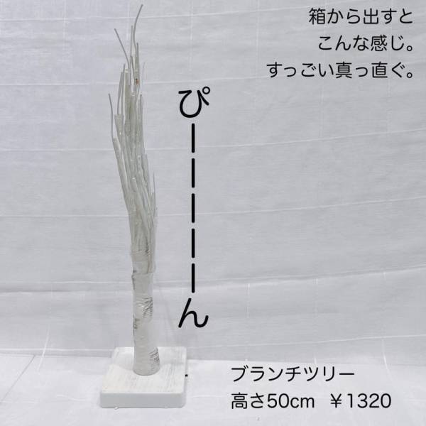 スリコ店員が「もーー可愛い過ぎる♡」と評する“新作シーズン商品”はコレ！