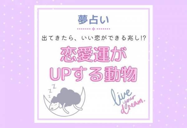 いい恋ができる兆し！？【夢占い】出てきたら「恋愛運がUPする」動物とは