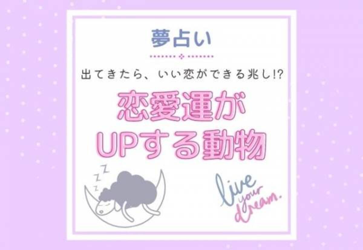 いい恋ができる兆し 夢占い 出てきたら 恋愛運がupする 動物とは 21年12月7日 ウーマンエキサイト 1 2