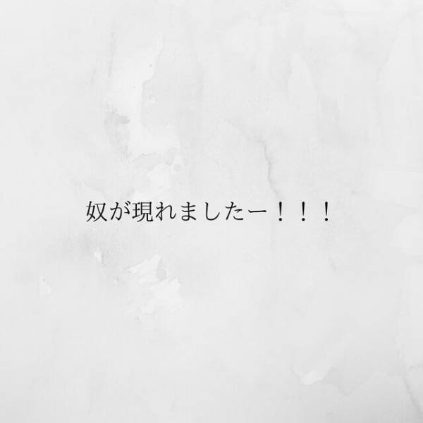 【＃19】「奴が現れた！」遠隔操作したカメラには夫と浮気相手の姿が！2人が”お風呂”にいったタイミングで家に戻ると…？＜サプライズで待機中激ヤバ女を連れ込まれました＞