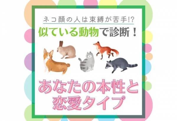 ネコ顔の人は束縛が苦手！？【似ている動物】で診断！あなたの「本性と恋愛タイプ」