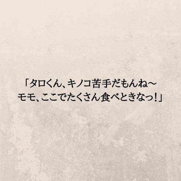 【＃11】「…見下されてる？」親友から連絡がきてランチに行くことに。しかし、彼女の発言の節々に妙な”違和感”を抱いて…？＜妊娠中に親友と浮気されていました＞