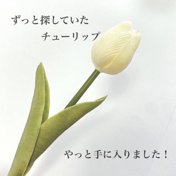 インスタグラマーも やっと手に入った らしい セリアの 韓国風インテリア って 21年12月日 ウーマンエキサイト 1 2