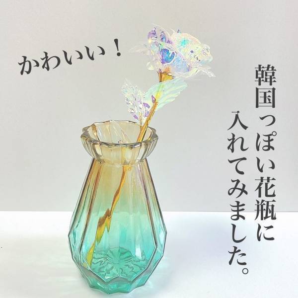 インスタグラマーも「やっと手に入った！」らしい、セリアの“韓国風インテリア”って？