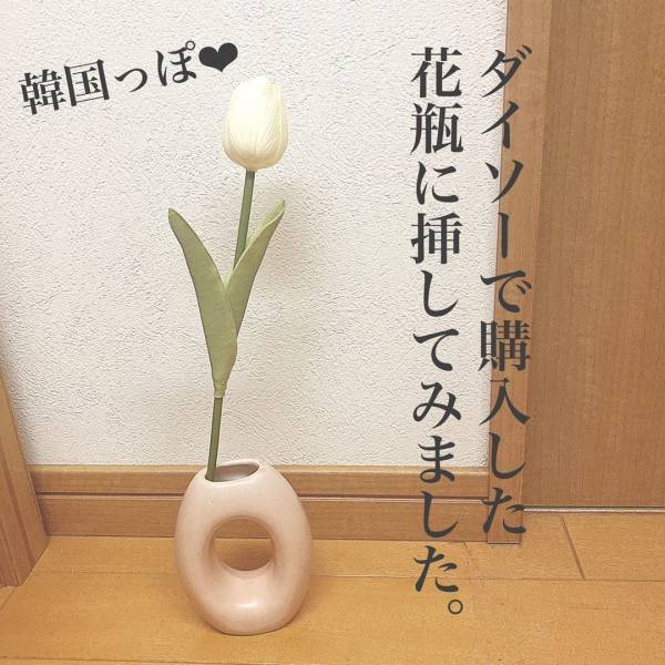 インスタグラマーも「やっと手に入った！」らしい、セリアの“韓国風インテリア”って？