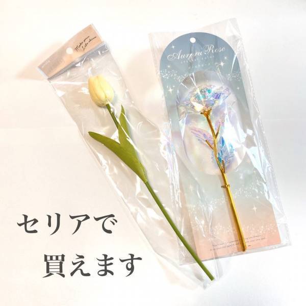 インスタグラマーも「やっと手に入った！」らしい、セリアの“韓国風インテリア”って？