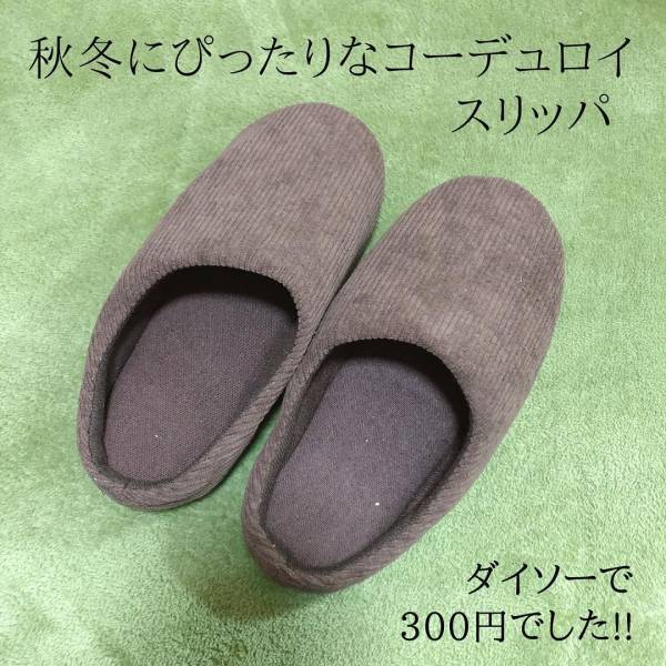 マニアが「可愛すぎて買っちゃった！」と紹介するダイソーの“コーデュロイアイテム”は要チェックかも！