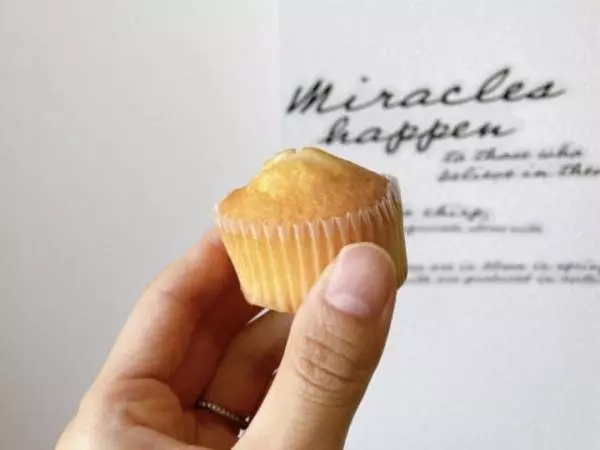 無印良品のプチケーキは小ぶりでついつい食べてしまうおいしさです。
