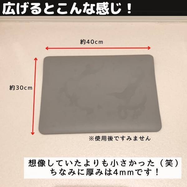 「インスタグラマーがすごい商品を発見！？」ダイソーの“珪藻土パウダー入りマット”とは