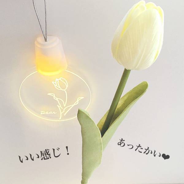 「あのおしゃれライトが再販！？」セリアの“韓国っぽインテリア”を紹介！