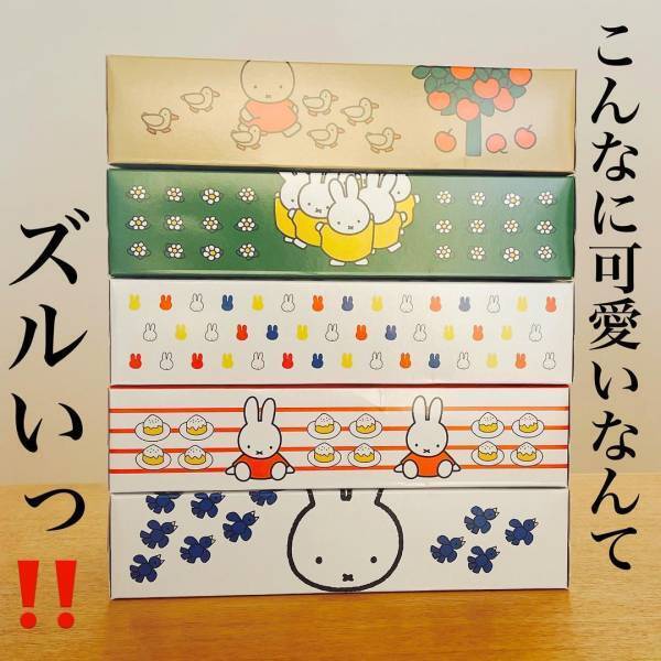 「悶絶級の愛らしさ！」「サイドまでかわいい！」ダイソーで買える”ミッフィーグッズ”とは…？