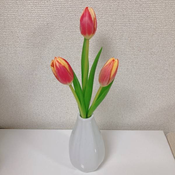 「シンプルなデザインが可愛すぎる♡」ダイソーの“韓国風アイテム”を紹介！