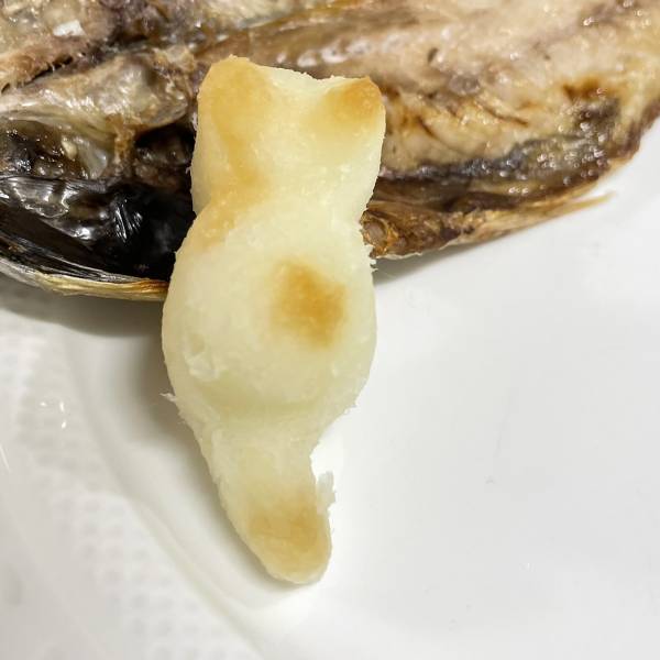 何コレ超かわいい♡」ダイソーの便利アイテム“大根おろしニャン”って知ってる？