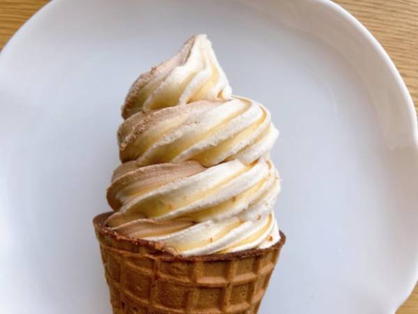 「生チョコ専門店とコラボ！？」セブンの“新作アイス”はチョコ好きさん必見かも♡