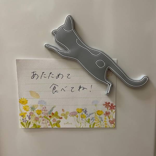 アニマルデザインにほっこり♡【ダイソー】の“優秀マグネットフック”がかわいい！