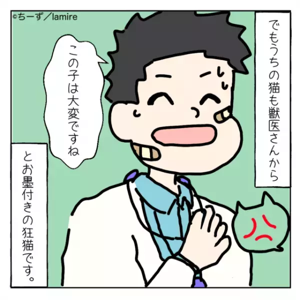 ママ友「こんな猫“処分”しなさいよ！」突然我が家の猫を見にきた迷惑親子。猫に危害を加えようとして反撃され逆ギレ！？＜ママ友トラブル談Vol.20＞