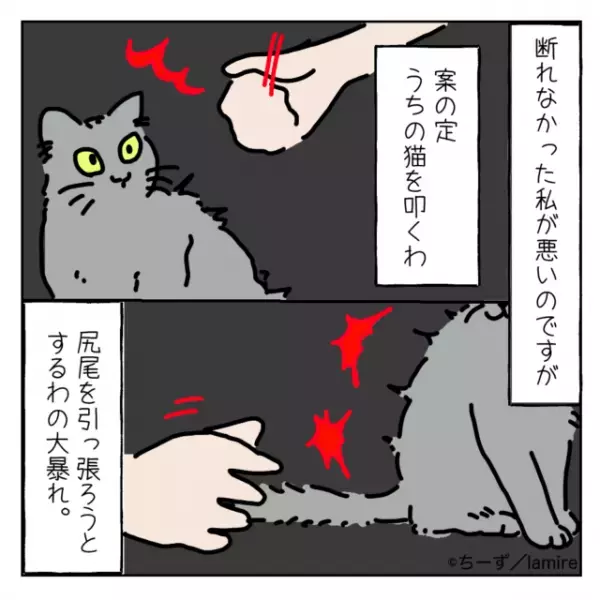 ママ友「こんな猫“処分”しなさいよ！」突然我が家の猫を見にきた迷惑親子。猫に危害を加えようとして反撃され逆ギレ！？＜ママ友トラブル談Vol.20＞