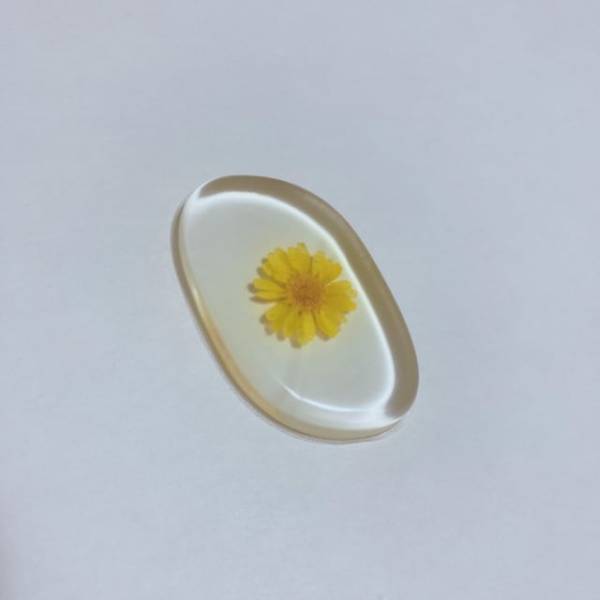 かわいいだけじゃなく使いやすさも◎【セリア】の“メイクアイテム”は侮れないクオリティ！？