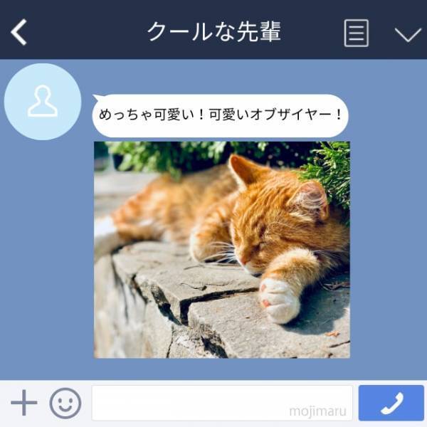 【誤爆】不愛想でクールな指導役の先輩からコメント付きの“猫の画像”が送られてきて…！？→「めっちゃ可愛い！可愛いオブザイヤー！」