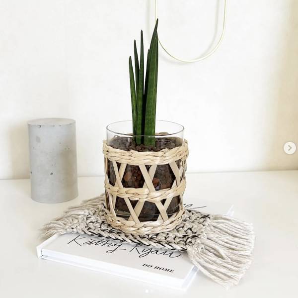 ”魅せる”インテリアとしても使える◎【3COINS】の「グラス・トレイ」がオシャレ