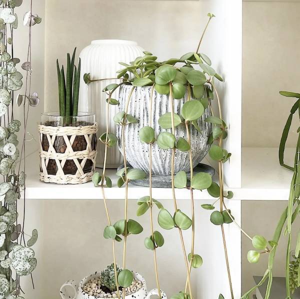 ”魅せる”インテリアとしても使える◎【3COINS】の「グラス・トレイ」がオシャレ