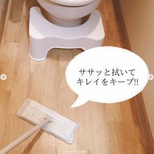 隙間汚れやトイレの汚れに使える！【DAISO】の「お掃除グッズ」紹介