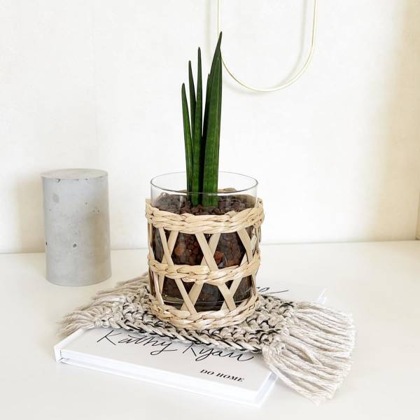 部屋の雰囲気を変えるなら…？【スリコ】のプチプラインテリア雑貨集