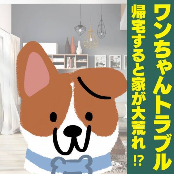 「冷蔵庫に入れておいたはずなのに…」帰宅したら料理が鍋ごと散乱してる！？→“まさかの犯人”にクスッと！