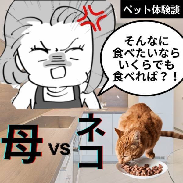 【ネコVS母】家中の食べ物を荒らすネコ。堪忍袋の緒が切れた母がとった”行動”にネコもドン引き…！