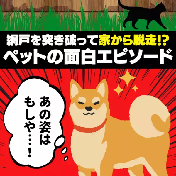 【衝撃】網戸を突き破って家から脱走！？飼い犬がそこまでして会いたかった“まさかの相手”にほっこり…＜ペットのエピソード＞