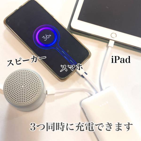 インスタでバズリ中のアイテム【ダイソー】モバイルバッテリーを使ってみた