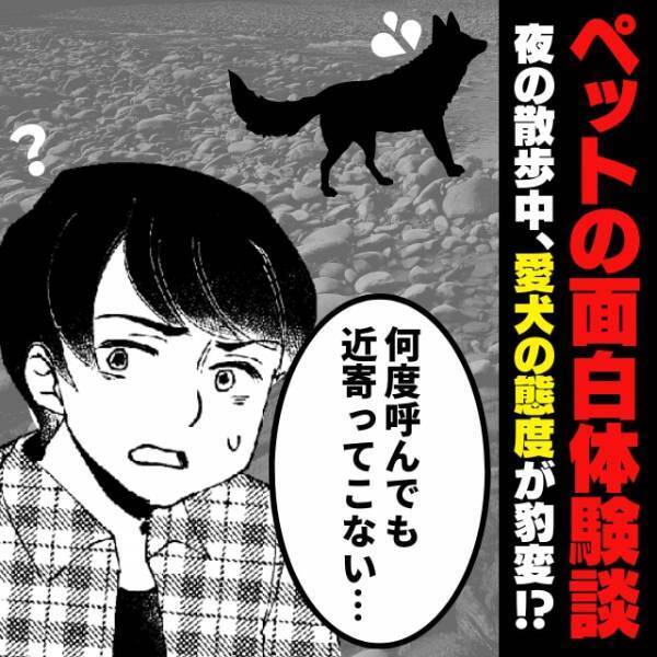 【衝撃】「何度呼んでも近寄ってこない…」夜の散歩中“愛犬の態度”が豹変！？→まさかの結末に驚愕…
