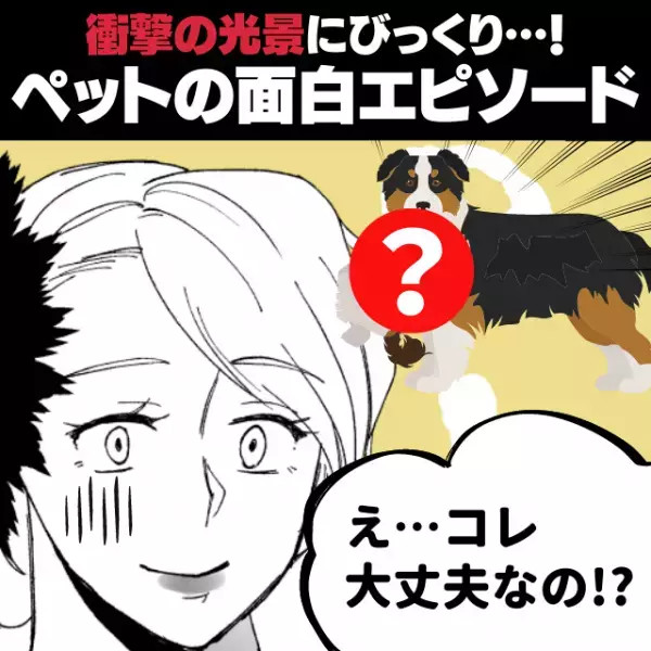 「シェパードの口の中に！？」うちの子は大喜びだけど…“衝撃の光景”に驚きを隠せない！＜ペットの面白エピソード＞