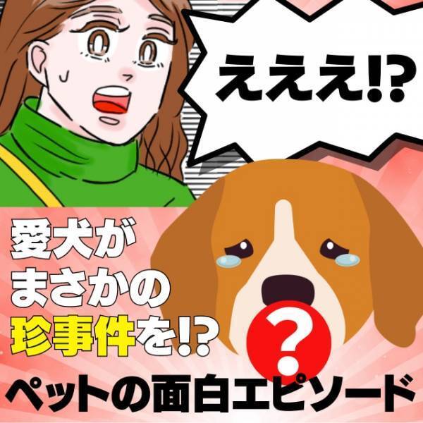 【衝撃】「開いた口が塞がらない…！」愛犬の“とんでもない珍事件”に爆笑！かわいすぎる…♡＜ペットの面白エピソード＞