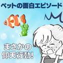 「餌がもらえるなら誰でもイイの…？」まるで人間！？意外とチョロい熱帯魚の“仰天行動”に唖然！＜ペットの面白エピソード＞