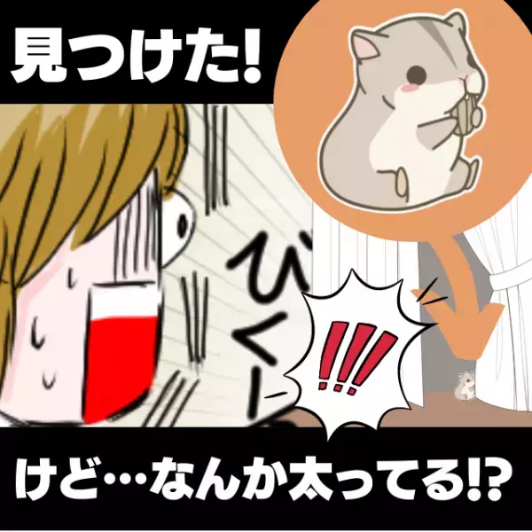 【衝撃】脱走したハムスターをカーテンの影で発見！“まさかの姿”に驚愕…！＜ペットの面白エピソード＞
