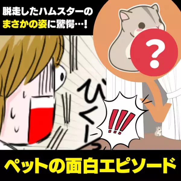 【衝撃】脱走したハムスターをカーテンの影で発見！“まさかの姿”に驚愕…！＜ペットの面白エピソード＞