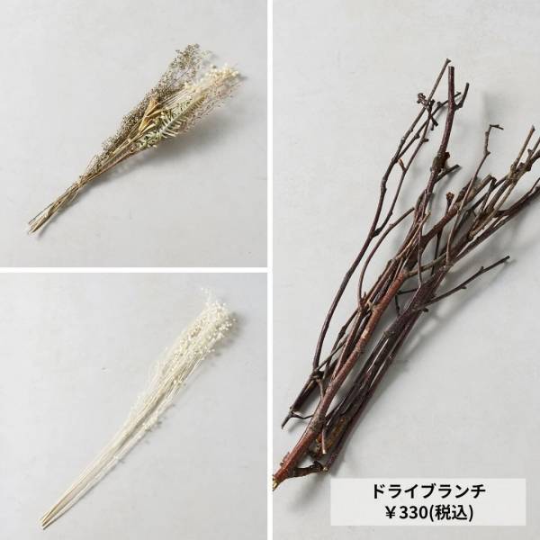 飾って、オシャレ。【3COINS】の「秋インテリア」が気になる