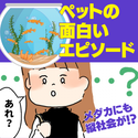 【クスッと】暮らす場所によって“まさかの行動”をとるメダカに驚愕！「鉢の中でも縦社会が！？」