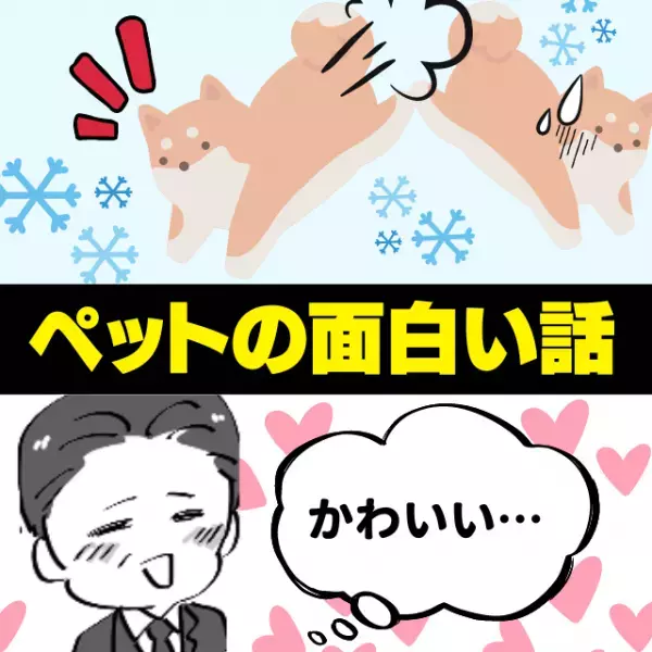 【かわいい】ボールの代わりに雪玉を投げて遊んだら…→愛犬の“予想外の反応”にクスッと！＜ペットの面白い話＞