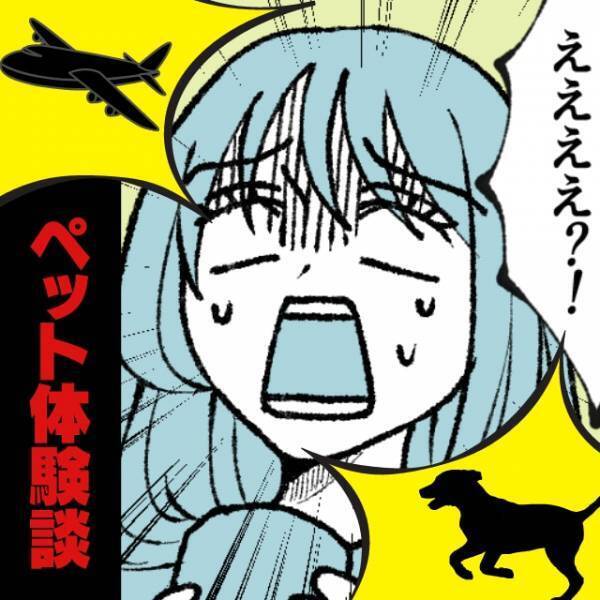 【クスッと】うちのワンコのライバルは…“飛行機”！？→スピードで張り合おうとする“トンデモ行動”に爆笑！＜ペットの面白エピソード＞