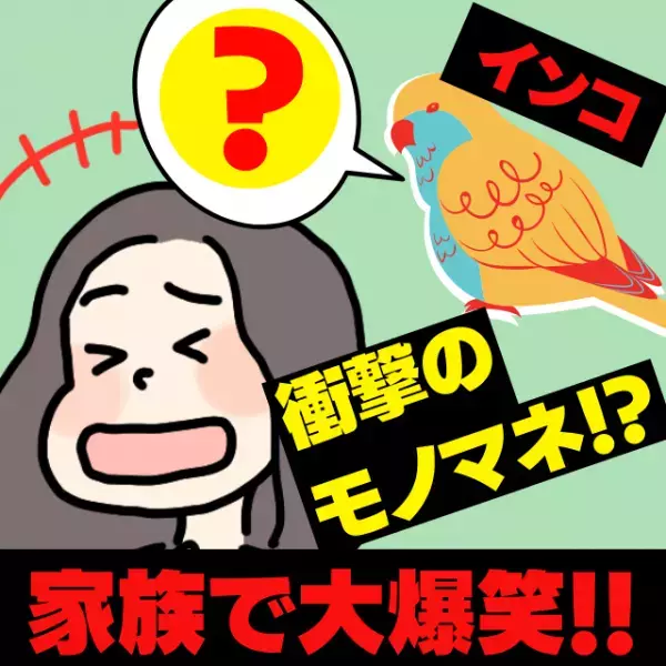 【衝撃】「いつ覚えたの！？」インコ、突然の“モノマネ”に家族全員でびっくり＆大爆笑！＜ペットの面白い話＞