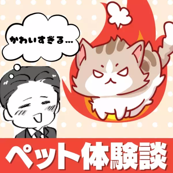 【衝撃】「かわいすぎる…」レポート作成が忙しく愛猫と遊べなかった結果→“嫉妬ゆえのトンデモ行動”に驚愕…